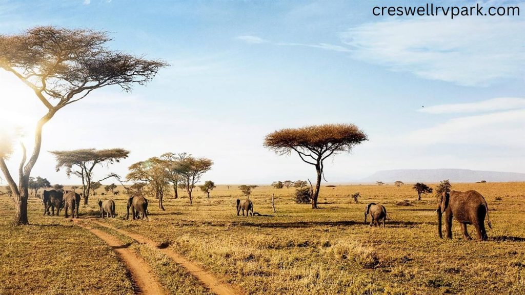 Serengeti เป็นที่มีชื่อเสียงที่สุดและเป็นสถานที่ท่องเที่ยวในฝันสำหรับคนรักสัตว์ทั่วโลก แต่คุณรู้เกี่ยวกับสถานที่แห่งนี้ มากแค่ไหน?