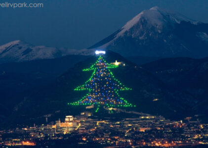 The world’s largest Christmas tree