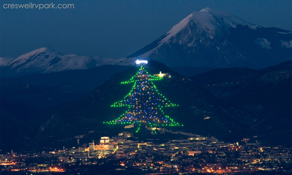 The world’s largest Christmas tree